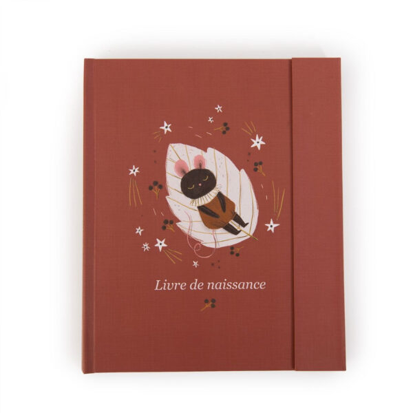 Livre de naissance moulin roty