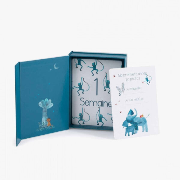 30 cartes étapes moulin roty